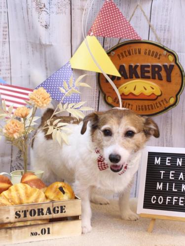 20240910こはるちゃん